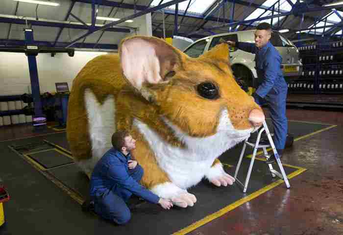 Giant hamster in Kwik Fit